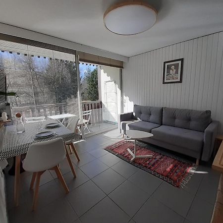 Studio Quartier Calme Centre Ville Vue Mont Blanc Chamonix Exterior photo