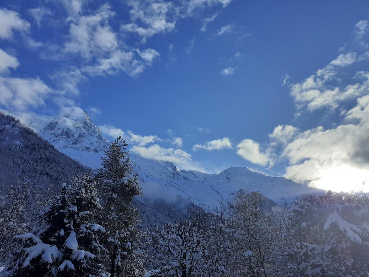 Studio Quartier Calme Centre Ville Vue Mont Blanc Chamonix Exterior photo