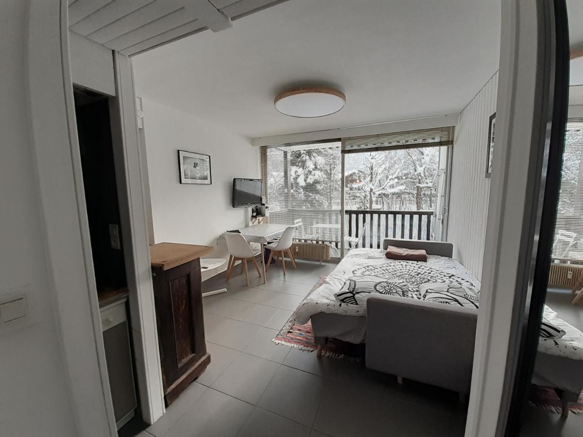Studio Quartier Calme Centre Ville Vue Mont Blanc Chamonix Exterior photo
